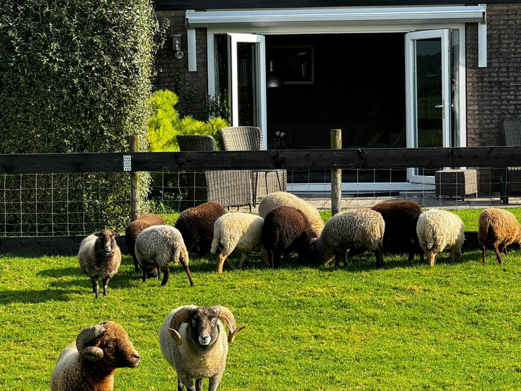 Vakantiewoning Le Garaazje 'S-Gravendeel Eksteriør bilde